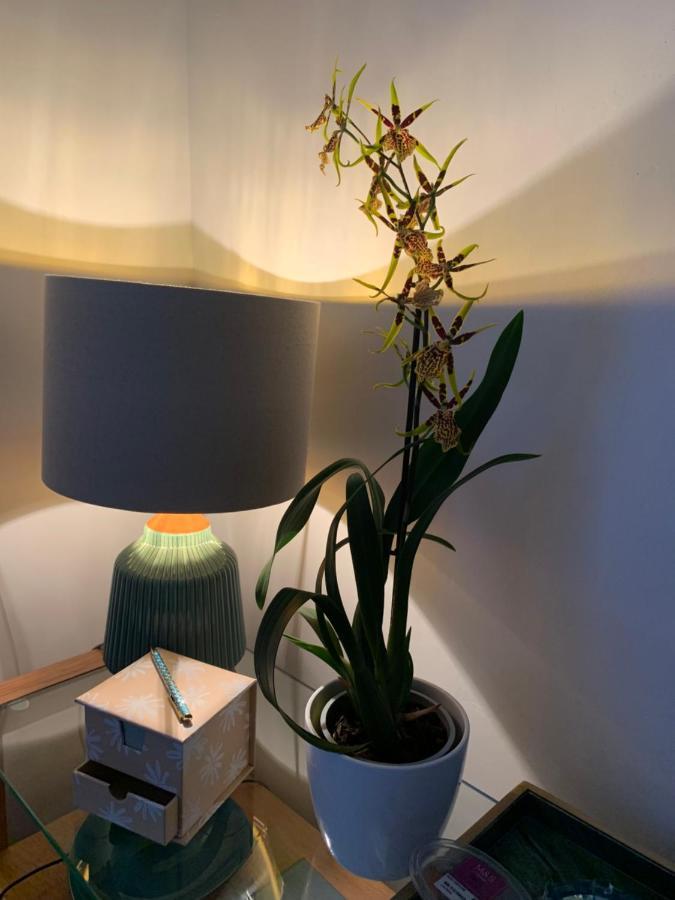 Hideaway Holiday Apartment Salisbury Esterno foto